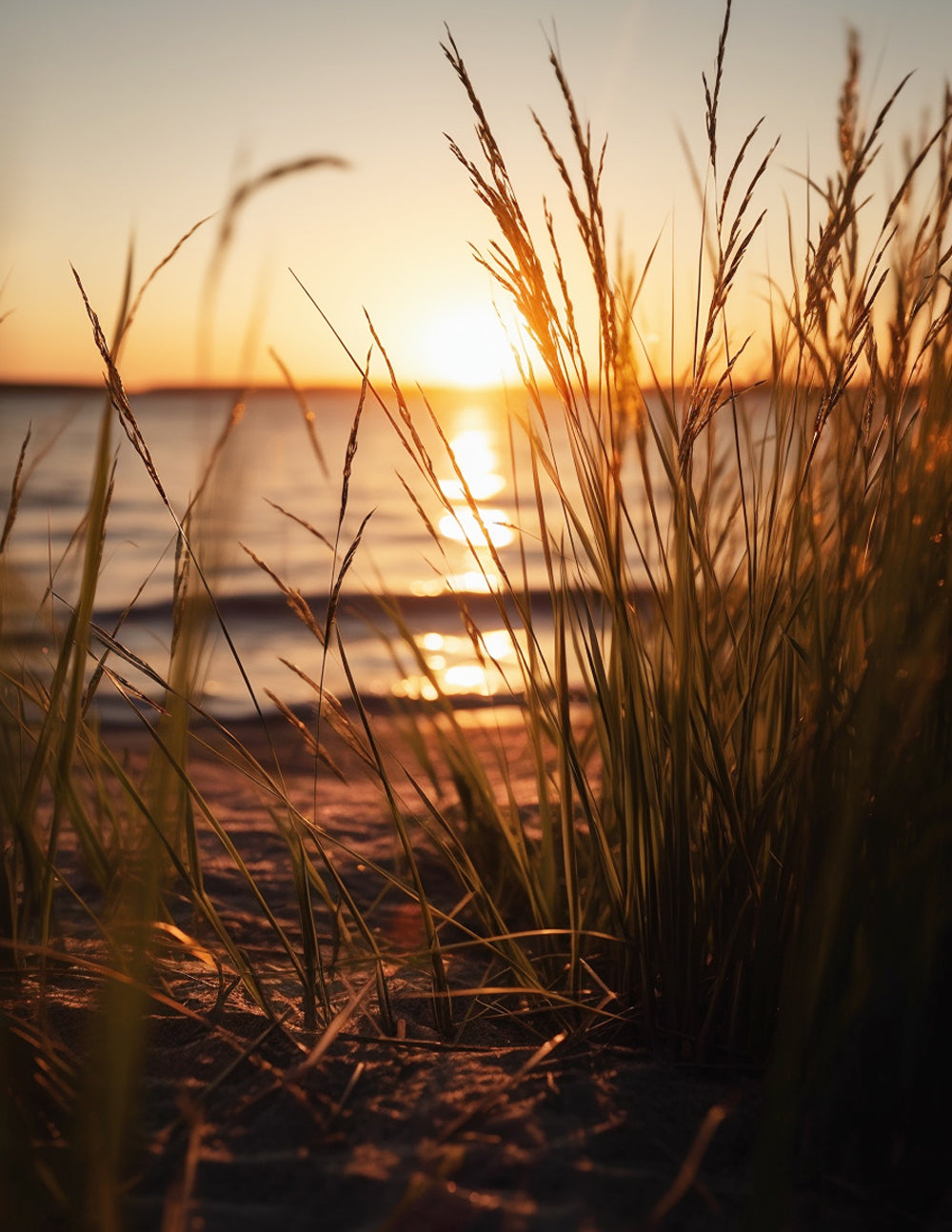 Beach grass silhouette at golden sunset cross stitch kit for beginners