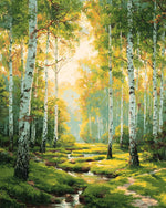 Birch trees along forest stream cross stitch kit for beginners