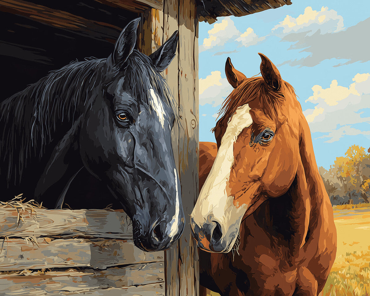 Black and brown horses over barn fence cross stitch kit for beginners