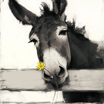 Charming donkey with yellow flower cross stitch kit for beginners