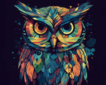Colorful graffiti owl cross stitch kit for beginners