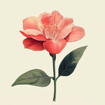 Coral camellia botanical art cross stitch kit for beginners