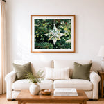 Finished crystal star on pine branch cross stitch artwork displayed as home decor