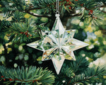 Crystal star on pine branch cross stitch kit for beginners