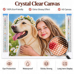 Crystal clear custom diamond painting canvas with glossy drills and detailed color chart
