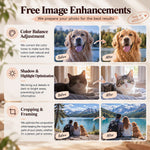 Free image enhancements for custom diamond painting photos including color balance, lighting and cropping