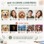Guide to choosing a good photo for the best custom paint by numbers result
