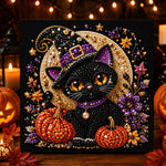 Cute black witch cat pearl diamond painting kit for beginners