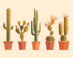 Desert cactus collection cross stitch kit for beginners