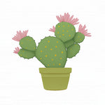 Flowering prickly pear cactus cross stitch kit for beginners