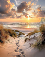 Footprints on sand dunes at sunset cross stitch kit for beginners