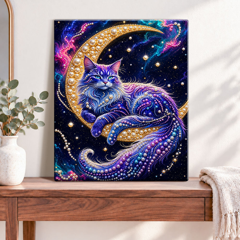 Finished galaxy moon cat pearl diamond painting artwork displayed as home decor