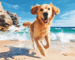 Golden retriever running on beach cross stitch kit for beginners