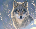 Gray wolf portrait in winter snow cross stitch kit for beginners