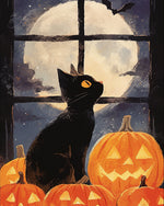 Halloween black cat and pumpkin cross stitch kit for beginners