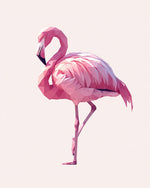 Low‑poly flamingo cross stitch kit for beginners