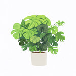 Lush monstera potted plant cross stitch kit for beginners