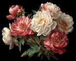 Luxurious dark peonies cross stitch kit for beginners