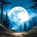 Night