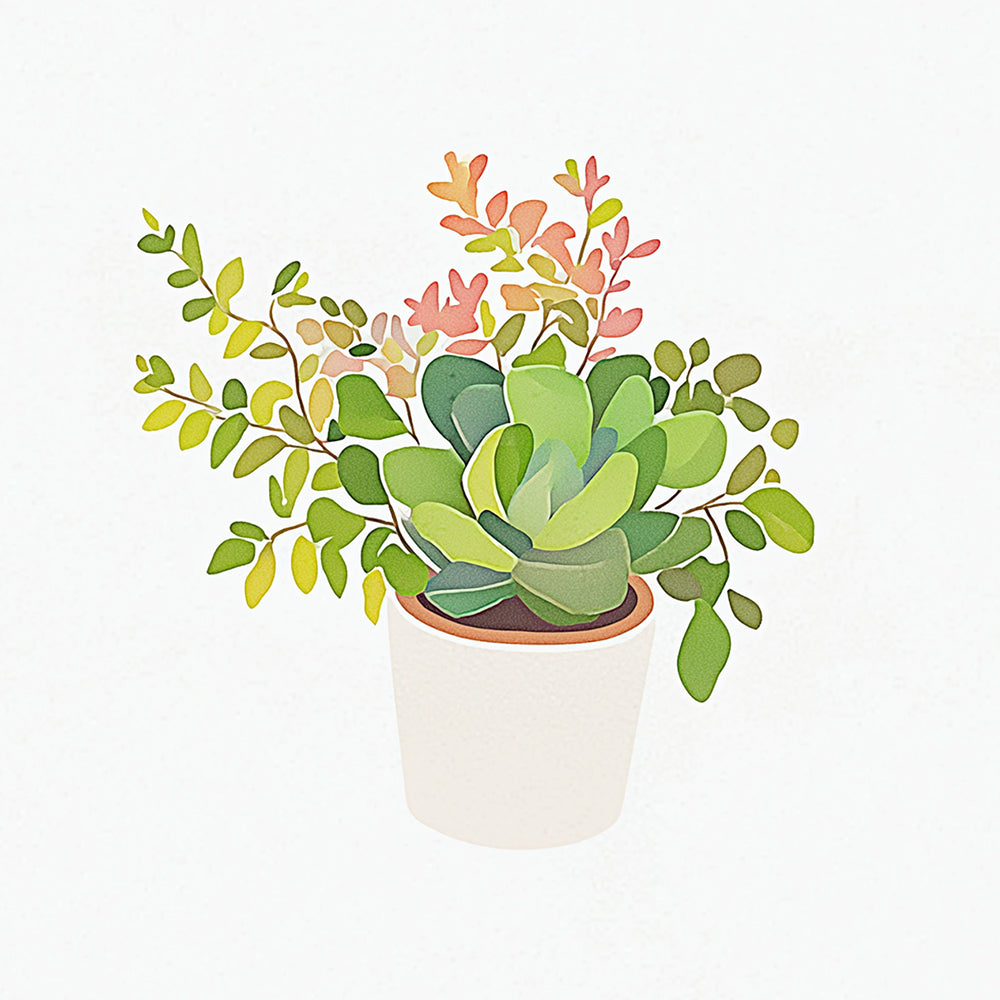 Mixed succulent houseplant cross stitch kit for beginners