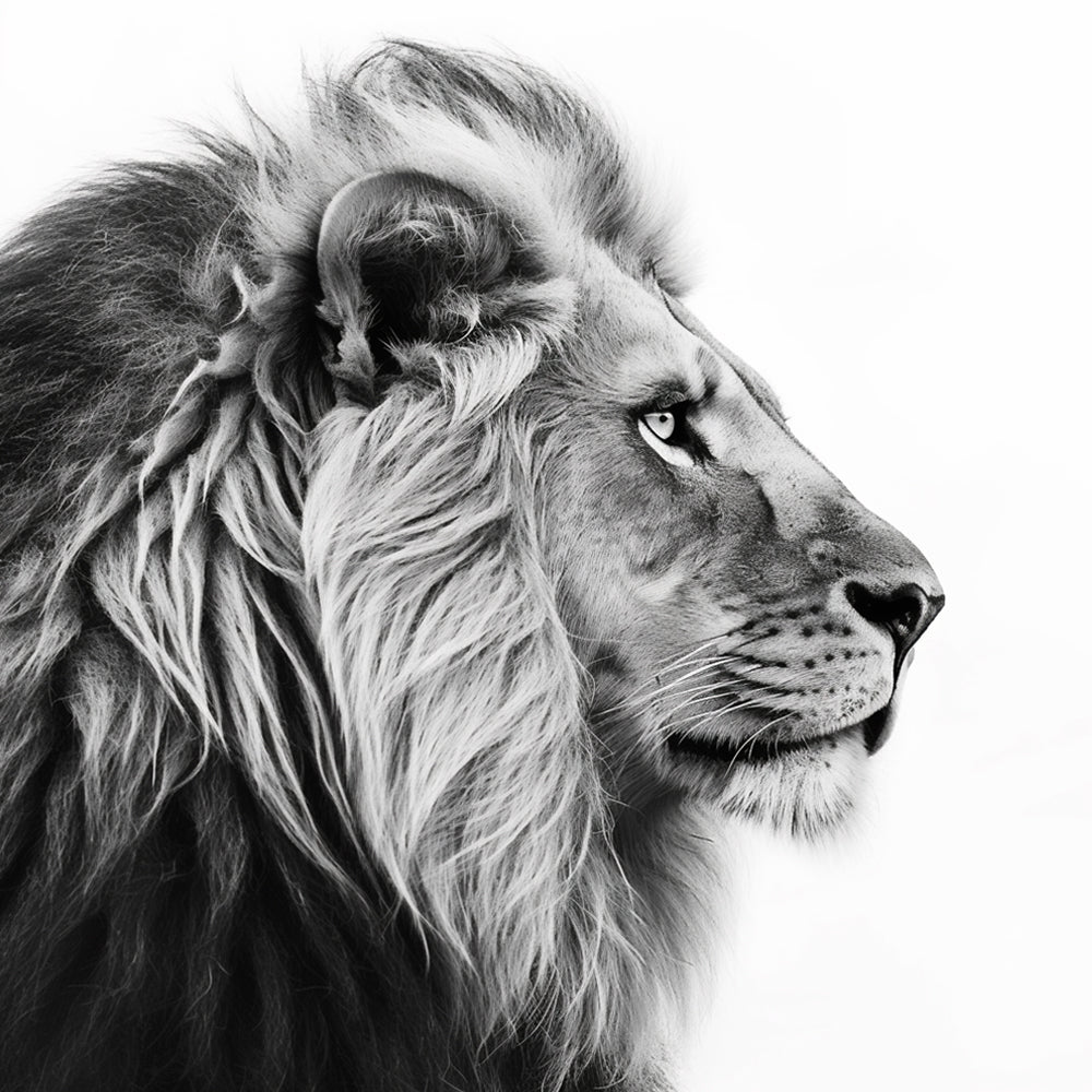 Monochrome lion portrait cross stitch kit for beginners