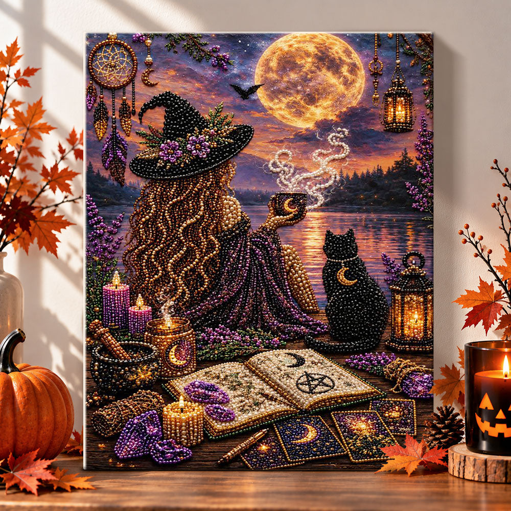 Moonlit witch and black cat pearl diamond painting kit for beginners