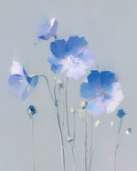 Muted blue poppies cross stitch kit for beginners