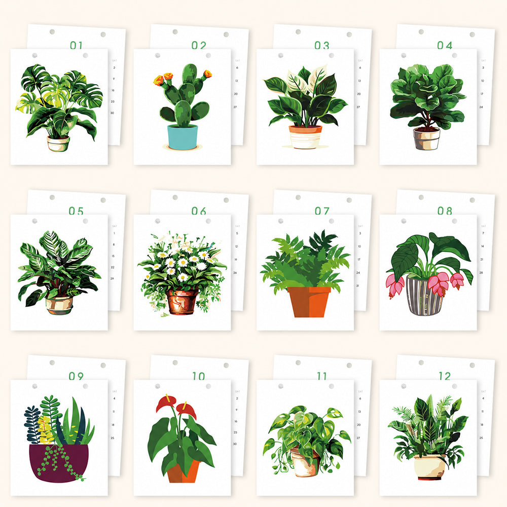 All 12 botanical painting designs featuring monstera, cactus, ferns and other potted houseplants