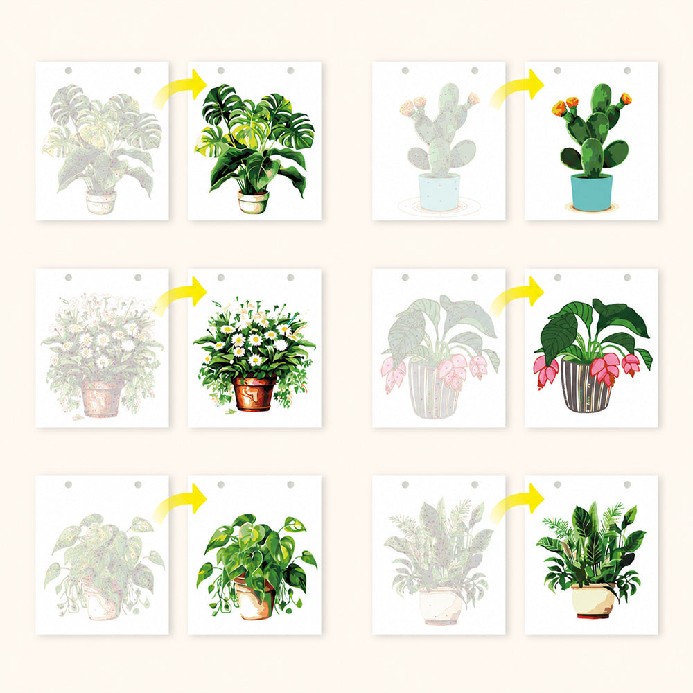 Before and after examples of six botanical paint by numbers designs, including monstera, cactus and leafy houseplants