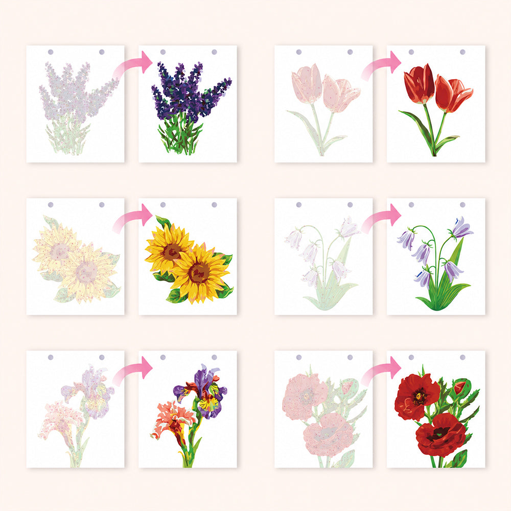 Before and after examples of six floral paint by numbers designs, including lavender, tulips and sunflowers