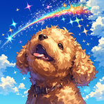 Poodle under rainbow sky cross stitch kit for beginners