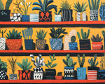 Potted plants on colorful shelves cross stitch kit for beginners