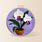 Potted white orchid needle felting kit for beginners with a round wooden frame