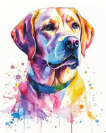 Rainbow labrador watercolor art paint by numbers kit for beginners