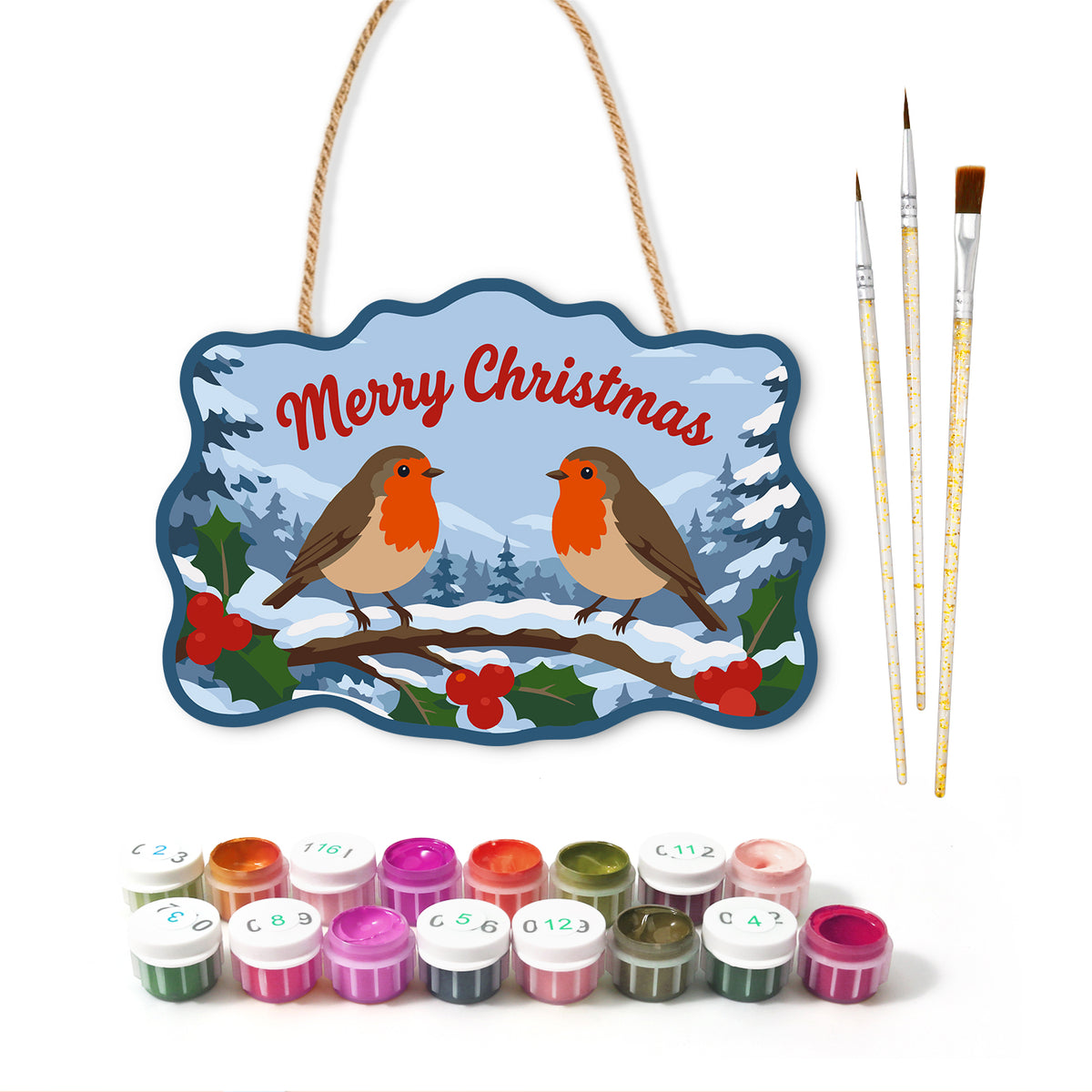Robin birds merry christmas paint by numbers door hanger with paints and brushes