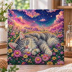 Sleeping cat under starry sky pearl diamond painting kit for beginners