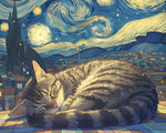 Sleeping tabby cat in starry night cross stitch kit for beginners