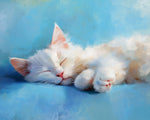 Sleepy fluffy white kitten cross stitch kit for beginners