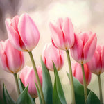 Soft focus pink tulips cross stitch kit for beginners
