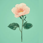 Soft peach wild rose illustration cross stitch kit for beginners
