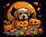 Spooky puppy in pumpkin patch cross stitch kit for beginners