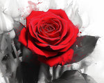 Striking crimson bloom cross stitch kit for beginners