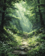 Sunbeams in green forest with stone path cross stitch kit for beginners