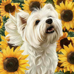 Sunflower westie cross stitch kit for beginners