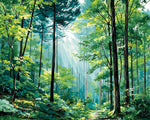 Sunlight filtering through lush green forest cross stitch kit for beginners