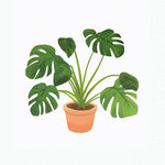 Terracotta‑pot monstera cross stitch kit for beginners