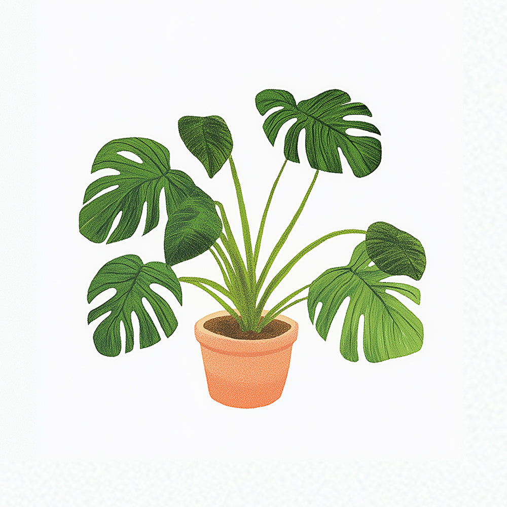 Terracotta‑pot monstera cross stitch kit for beginners