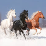 Three galloping horses in snow cross stitch kit for beginners