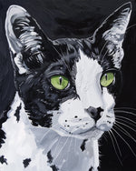 Tuxedo cat oil painting cross stitch kit for beginners