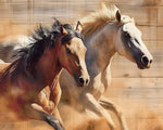 Two stallions running wild cross stitch kit for beginners